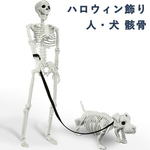 nEB l/ [ A Sg g H O/ K[f  ֐  p[eB[ n