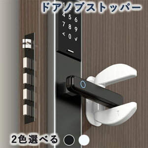 hAmu bN `ChbN hAbN q L ybg ㉺bN sv t hAmuXgbp[