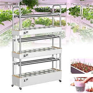 k͔| ZbgA48z[K[f|{͔|VXeALED͔|vA|{͔|LbgA͔|PVC؃KX|{͔|LbgtA򑐁AʕAؗp