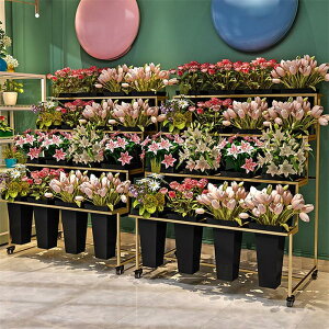 t[J[gfBXvCbN 4֕t ԉpu[PI t[z_[ [OvgJ[g oPc16t peBI   ԉp