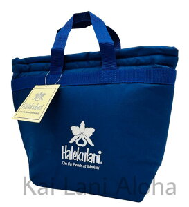 oBnCA ze nC nNj ۗobO nC N[[obO ٓ obO ze ۗ ۉ nCAG ΂ nCyY v[g ob