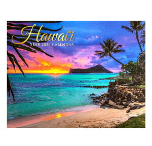 oByLongs Drugsz2026NnCAJ_[yHawaiiz nCA nCAG nCACeA nCG TZbg C q̖ nCJ_[ nC OX 