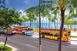 oBnCA LoXplG@(WIKIKI@BEACH) CLLr[` 35x55x1.8cm nCAG nCACeA Ǌ| CLL@g[ G nC i V̖ G HAWAII CLL