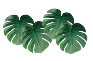 oBnCA Xe ^ R[X^[4Zbg nCAG nCACeA Xe G Lb`pi  nCLb` H e[u H}bg Lk r[` C