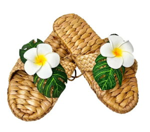 oBnCA EnXbp 23.5`25.0cm vA×Xe  O x_ Xbp nCG nCACeA nC Xbp T_ yY v[g Y 