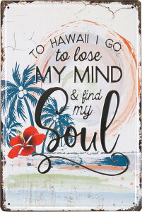 oBnCA AeB[NG{Xv[gmFIND MY SOULn nCrXJX V̖ p[c[ nCG nCAG Hawaii Ŕ A~v[g nCv[g mC mC