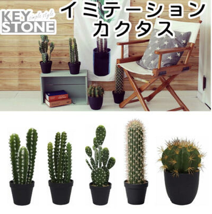 楽天市場 O 新作 ハワイアン サボテン カクタス 南国 ハワイアンインテリア ハワイアン雑貨 ハワイ雑貨 ハワイ Hawaii 人工観葉植物 O Kai Lani Aloha カイラニアロハ 楽天市場 O 新作 ハワイアン サボテン カクタス 南国 ハワイアンインテリア ハワイアン雑貨 ハワイ雑貨 ハワイ Hawaii 人工観葉植物 O Kai Lani Aloha カイラニアロハ