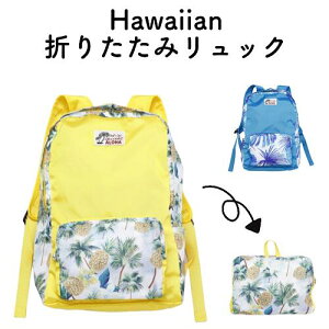 oBnCA Y fB[X ܂ bNobNpbN obO fCpbN ΂ e pCibv Xe V̖ G݃CeA W v[obO nC s C 