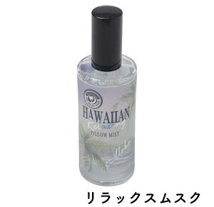 oBnCA NVO s[~Xg 100ml vA RRibc XN  nCAG nCACeA piEG nC̍ nC̓   [ X