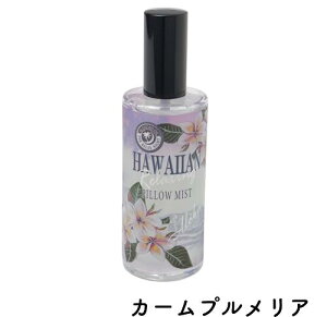 oBnCA NVO s[~Xg 100ml vA RRibc XN  nCAG nCACeA piEG nC̍ nC̓   [ X