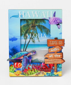 oBnCA nCzk tHgt[ ʐ^ Ă nCACeA nCAG nCG hawaii j v[g  T[tG 썑 C T[tB 