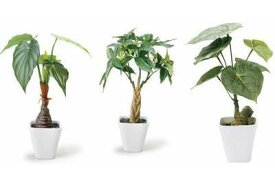 楽天市場 ハワイアン インテリア 人工観葉植物 造花 人工観葉植物 花 観葉植物 花 ガーデン Diyの通販