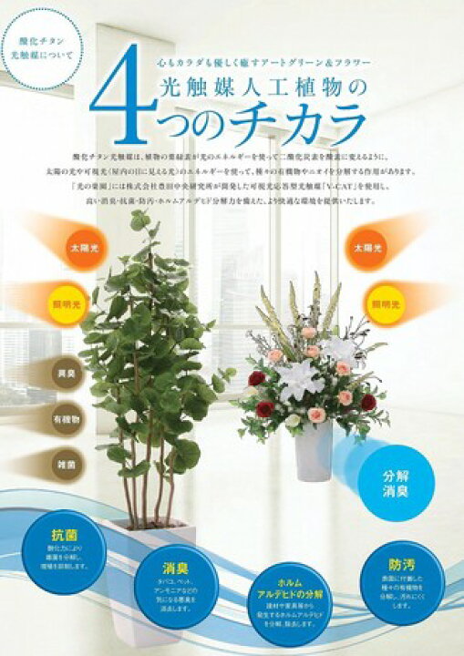 楽天市場 O ハワイアン インテリア グリーン ユッカ 高さ約50cm 消臭作用 抗菌加工 光触媒 ハワイアン雑貨 ハワイアンインテリア ハワイ雑貨 ハワイインテリア フェイク ハワイ葉っぱ ひかりしょくばい お祝い プレゼント 開店 開業 観葉植物 O Kai Lani Aloha 楽天市場 O ハワイアン インテリア グリーン ユッカ 高さ約50cm 消臭作用 抗菌加工 光触媒 ハワイアン雑貨 ハワイアンインテリア ハワイ雑貨 ハワイインテリア フェイク ハワイ葉っぱ ひかりしょくばい お祝い プレゼント 開店 開業 観葉植物 O Kai Lani Aloha