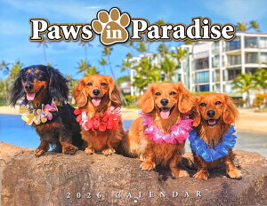 oByHawaiihL!z2026NnCAJ_[yPaws in ParadiseznCAEʌ!!nCAG nCG nCACeA  hbO R nCJ_[ yY v