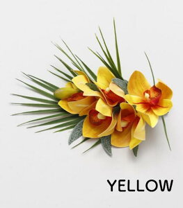 oByMaunaloaznCA ijI[Lbh Nbv  t_X nCG nCAG nC t_X t }EiA t_XG C  wAANZT[ \