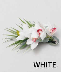 oByMaunaloaznCA ijI[Lbh Nbv  t_X nCG nCAG nC t_X t }EiA t_XG C  wAANZT[ \