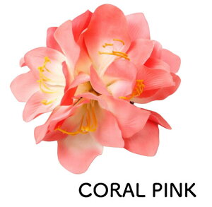 oByMaunaloaznCA fbNX A}X Nbv wANbv  t_X nCG nCAG nC t }EiA t_XG C  wAANZT