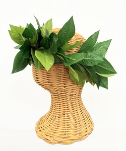 oByMaunaloaznCA fbNX }C wbhoht_XC nCG nCAG nCACeA t_X t J[ANZT[ nC }EiA 