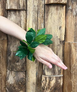 oByMaunaloaznCA fbNX }C |j[ t_XC nCG nCAG nCACeA t_X t J[ANZT[ nC }EiA K 