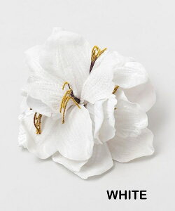 oByMaunaloaznCA xxbgA}XNbv wANbv  t_X nCACeA t t }EiA t_XG C  wAANZT[ \