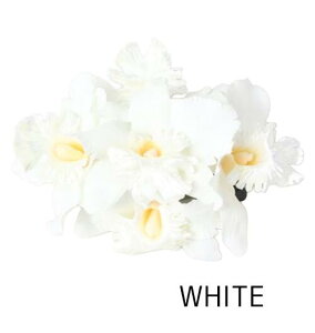 oByMaunaloaznCA ijJgANbv wANbv  t_X nCG nCAG t_X t }EiA t_XG C  wAANZT[ 