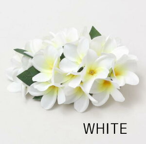 oByMaunaloaznCA vA Nbv wANbv  t_X nCG nCAG t_X t }EiA t_XG C  wAANZT[ 