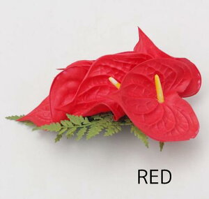 oByMaunaloaznCA AXE Nbv wANbv  t_X nCG nCAG t_X t }EiA t_XG C  wAANZT[ 