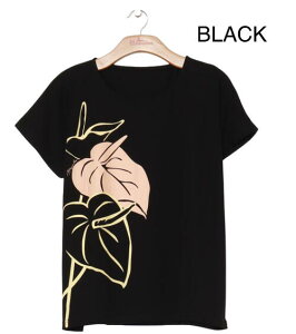 oByMaunaloaznCA AXE TVc N[ ⊴ ₽ t[ TCY k t_Xߑ tK[ C t_X t }EiA MMJ ̘r Xgb`