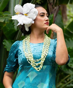 oByMaunaloaznCA RsJP C 5{ C t_XC nCG nCAG nCACeA t_X t J[ANZT[ nC }EiA K \