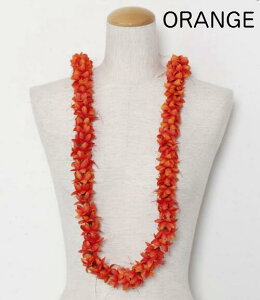 oByMaunaloaznCA InCACOC t_XC }EiA nCG nCAG nCACeA t_X t J[ ANZT[ vA }E