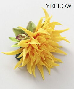 oByMaunaloaznCA XpC_[} wANbv  t_X nCG nCAG nCACeA t_X t }EiA t_XG C  w