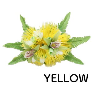 oByMaunaloaznCA tAVrWE Nbv wANbv  t_X nCG nCAG t_X t }EiA t_XG C  wAANZ