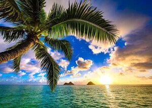 oBnCA LoXA[g plGyLanikai jJC JCAz700x500mm nCAG nCACeA Ǌ| nCG nCCeA nC i V̖ T[tB