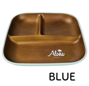 oBnCA ALOHA ؖ XNGAv[g L { M H Lb`pi nC nCAG nCACeA nCAH nC yY v[g BBQ e  o[