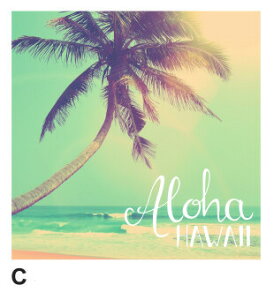 oBAnA[g{[h plG nCAsN`[ 20×20cm nCAG nCACeA Ǌ| nCCeA vA Xe V̖ p[c[ Cݕ