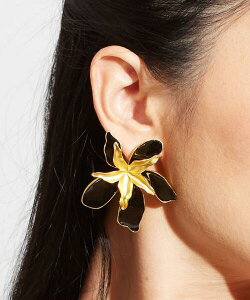 oByMaunaloaznCA sAX   sAX ANZT[ 傫 CpNg  t_X nCG }EiA nCACeA nCAANZT[ nCA