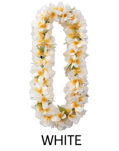 oBV nCA vA C ̃ANZgɂł nCACeA nCG  t[ Ǌ| nC  fBXvC t_X  j 