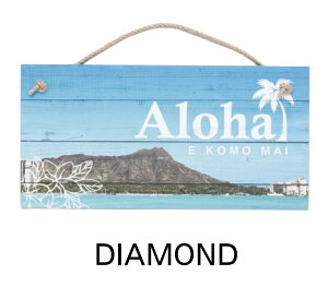 oBnCA Ǌ| ؐTC{[h yMzCeA nCAG nCACeA T[tB nC G CeA r[` C C nCG T[tG T[t{[