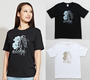 oByMaunaloaznCA }CeBEX[ t_X TVc nCACeA v[g tK[ }EiA tG nCG yY bX \ i Bo