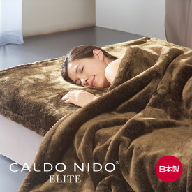 CALDO NIDO ELITE 2 掛け毛布 [ 毛布 もうふ ブランケット 冬用 発熱 吸湿発熱 おすすめ エリート ディーブレス 日本製 快眠博士 ]