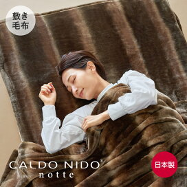楽天市場】 CALDO NIDO : 快眠博士 楽天市場店