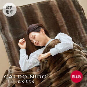 CALDO NIDO notte 2 ~ѕz Jhj[hmbe [ ~pbh VO Z~_u _u ~  { zM 􂦂 g ~pbg ~pbhѕz m Jhj[hmbe ~