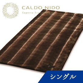 CALDO NIDO notte 2 敷き毛布 シングル ブラウン カルドニードノッテ [ 敷きパッド 通年 あったか 日本製 洗える 暖かい 快眠博士 敷きパット 敷パッド 敷パット 敷毛布 敷き毛布 毛布 ]