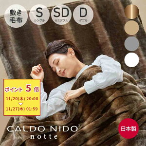 CALDO NIDO notte 3 ~ѕz Jhj[hmbe [ Jhj[h ~pbh ѕz~pbh zM ~p { ~ѕz  g ~pbg 􂦂 ~ѕz m Jhj[hm