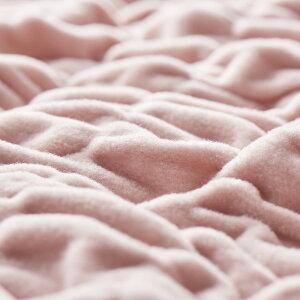 ZEPPIN nOEH[ |ѕz ѕz 􂦂 g ӂӂ ƂƂ キ   y y  100 Rbg ~ I[V[Y uPbg { q 킢 VRf k