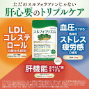 スルフォラリズム スルフォラファン サプリメント 機能性表示食品 中高年の高めの 肝臓ケア (ALT値) 肝臓サプリ コレ…