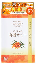 有機 サジー サプリメント 粒で飲める 有機JAS認定 1袋30g(120粒) 鉄分 オーガニック