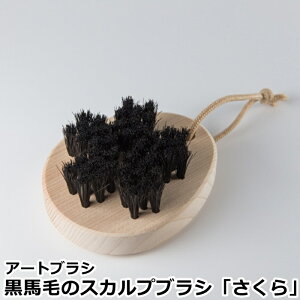 nт̃XJvuV  󑐃A[guV  A[guV RpNg XJvuV nуuV yz@F`OXցz