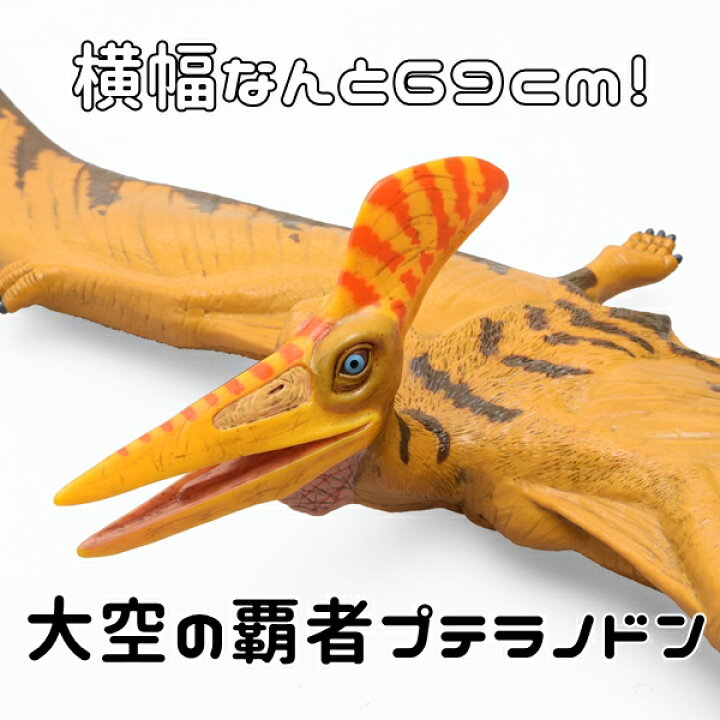 楽天市場】プテラノドン【恐竜 おもちゃ フィギュア】特大 