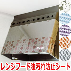 Wt[h h~V[g (2) k 100×45cm Wt[h^ C  h~ tB  K[h tB tH[yz@F`OXցz